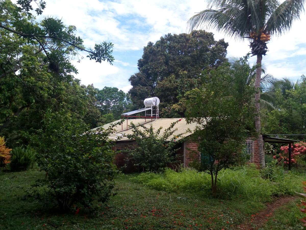 Eco-Lodge El Porvenir. Santa Cruz Luaran gambar